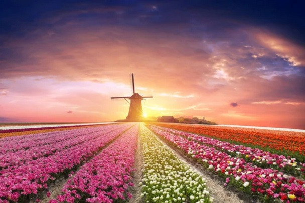 «Весна для тебя – Нидерланды»